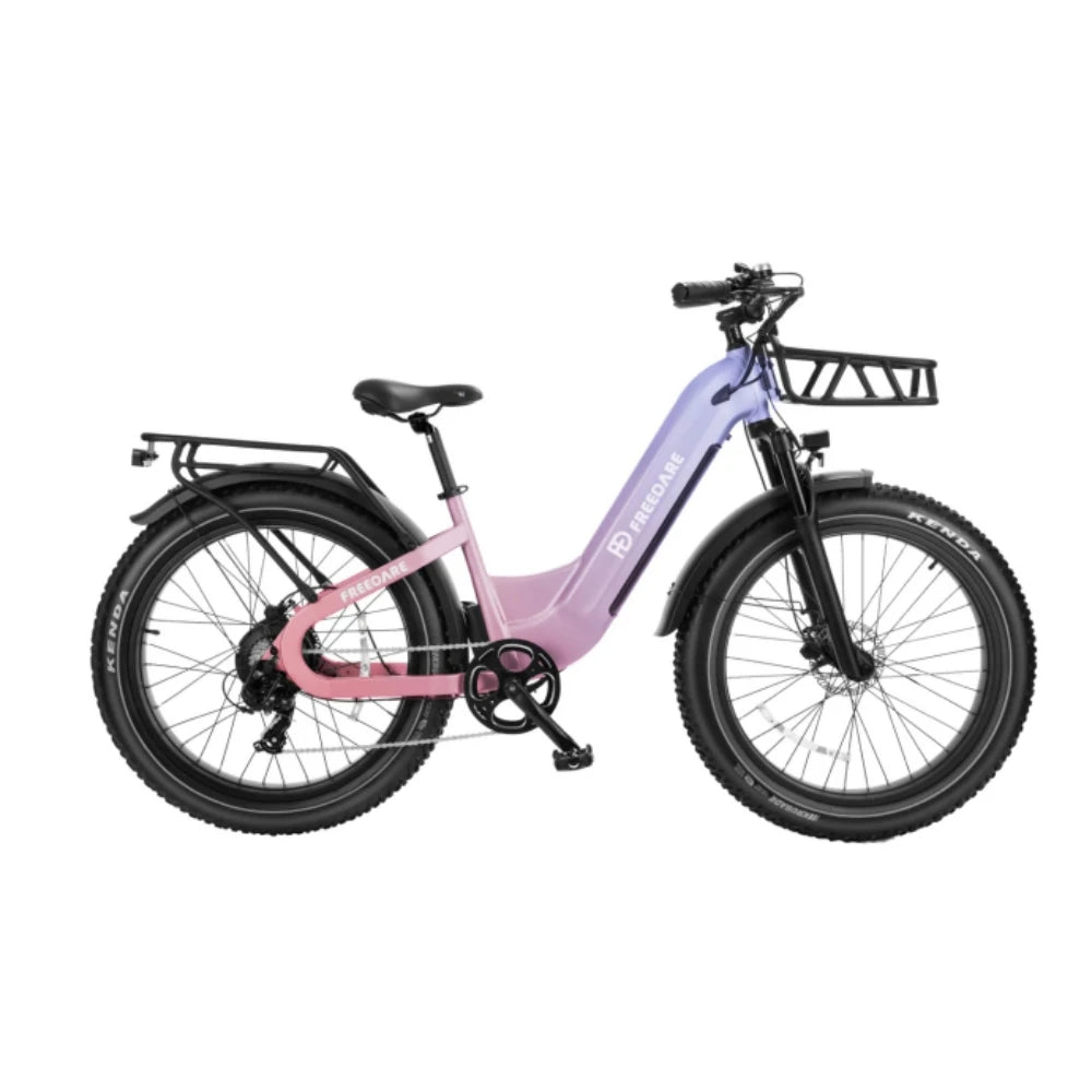 Fat Tire Ebike 1000W 48V 20Ah Removable Battery GPS