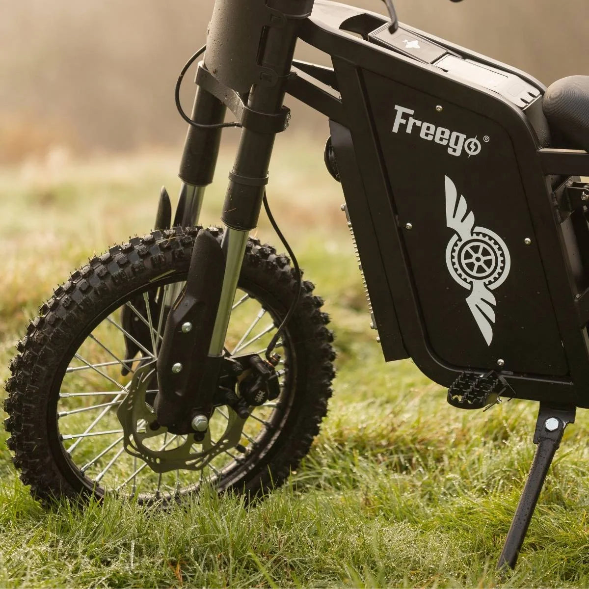 Freego X0 Electric Dirt Bike 3600W 60V EBike for Adults