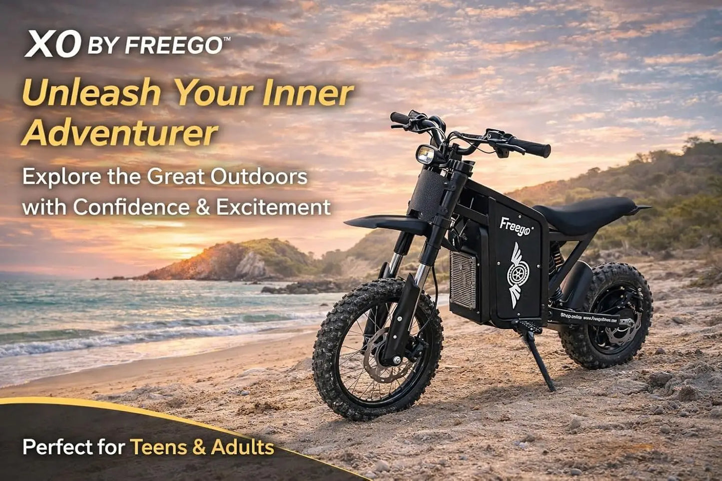 Freego X0 Electric Dirt Bike 3600W 60V EBike for Adults