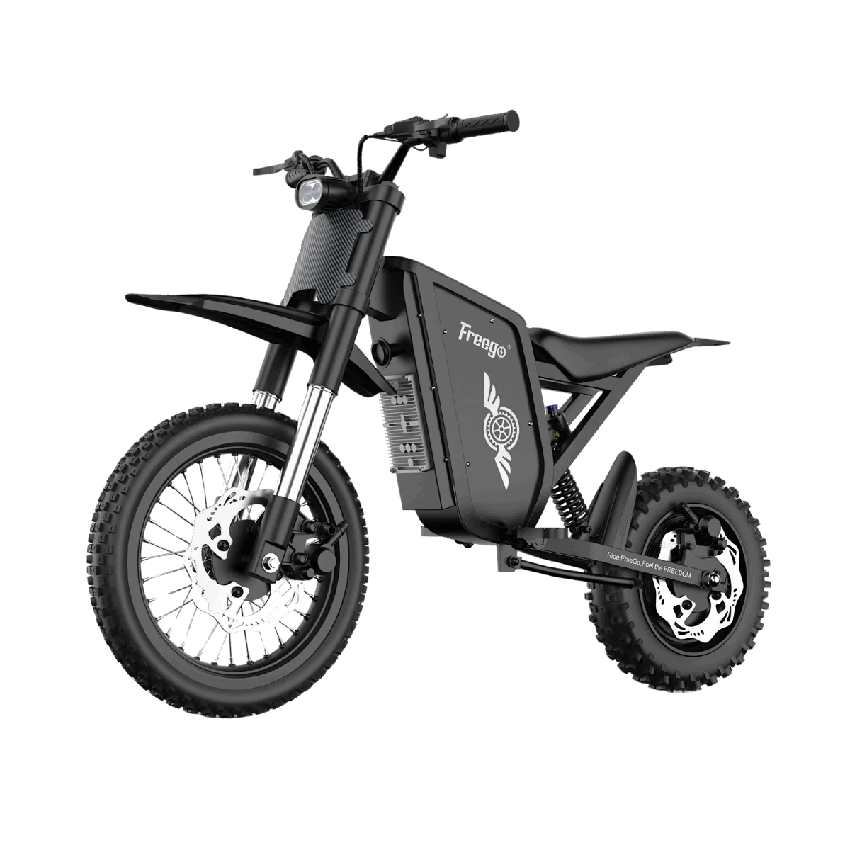 Freego X0 Electric Dirt Bike 3600W 60V EBike for Adults