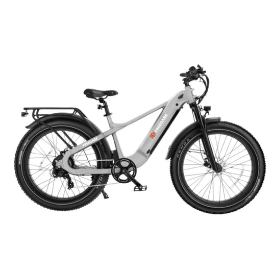 Fat Tire Ebike 1000W 48V 20Ah Removable Battery GPS