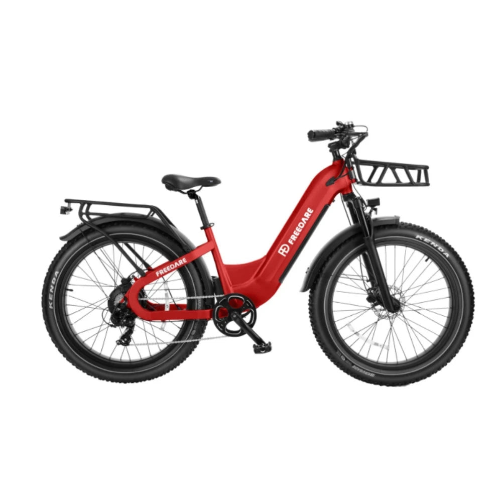 Fat Tire Ebike 1000W 48V 20Ah Removable Battery GPS