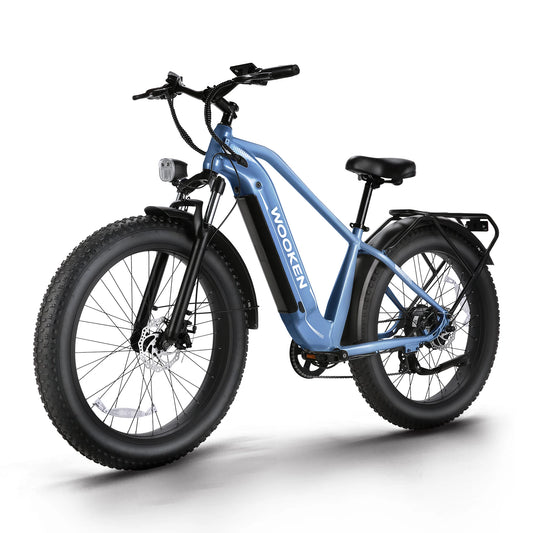 Electric Fat Tire Bike 1500W Peak Motor 48V Removable Battery