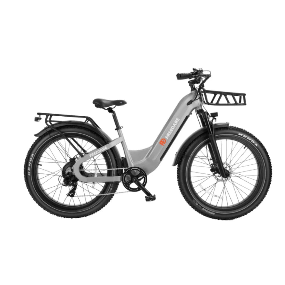 Fat Tire Ebike 1000W 48V 20Ah Removable Battery GPS